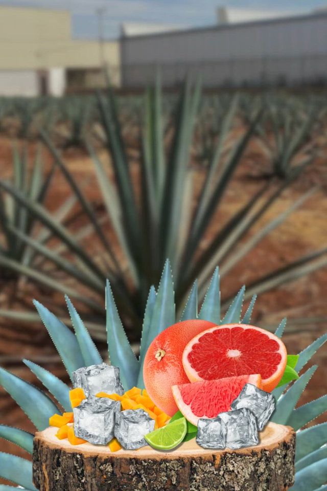 ▷ Salamadre | Mezcal Ready To Drink